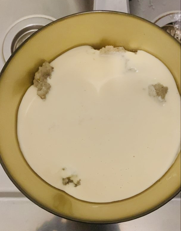 Yogurt — can cats eat yogurt guide