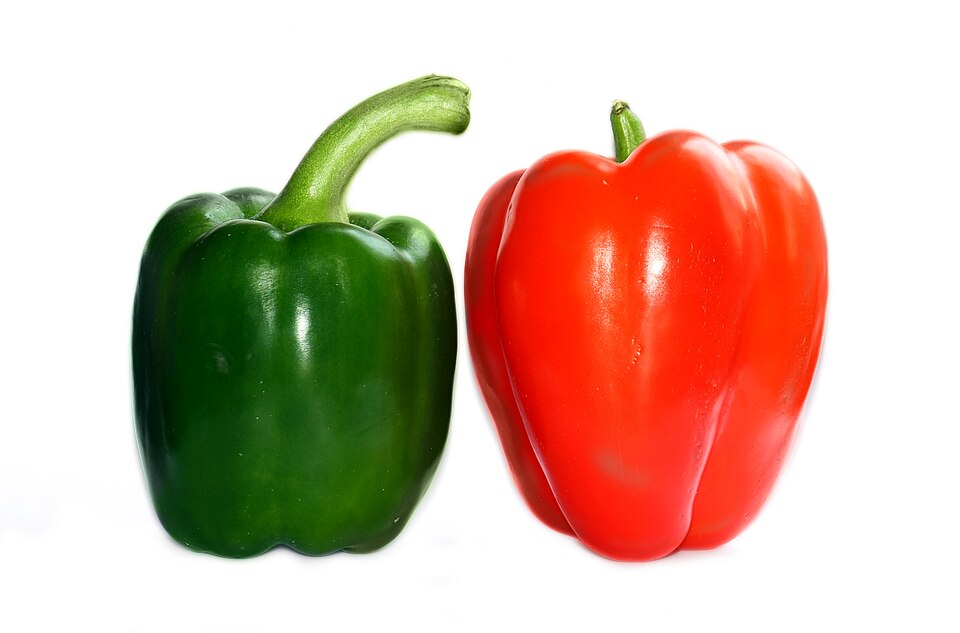 Bell Peppers — photo used in our can-dogs-eat-bell-peppers guide