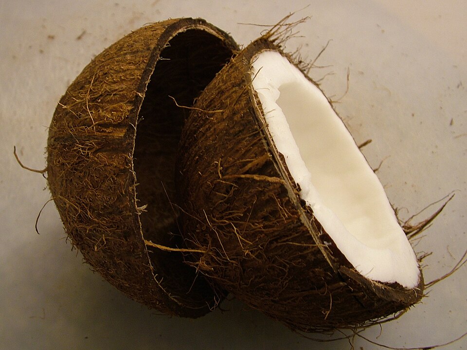 Coconut — photo used in our can-dogs-eat-coconut guide