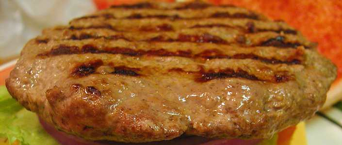 Hamburger — photo used in our can-dogs-eat-hamburger guide