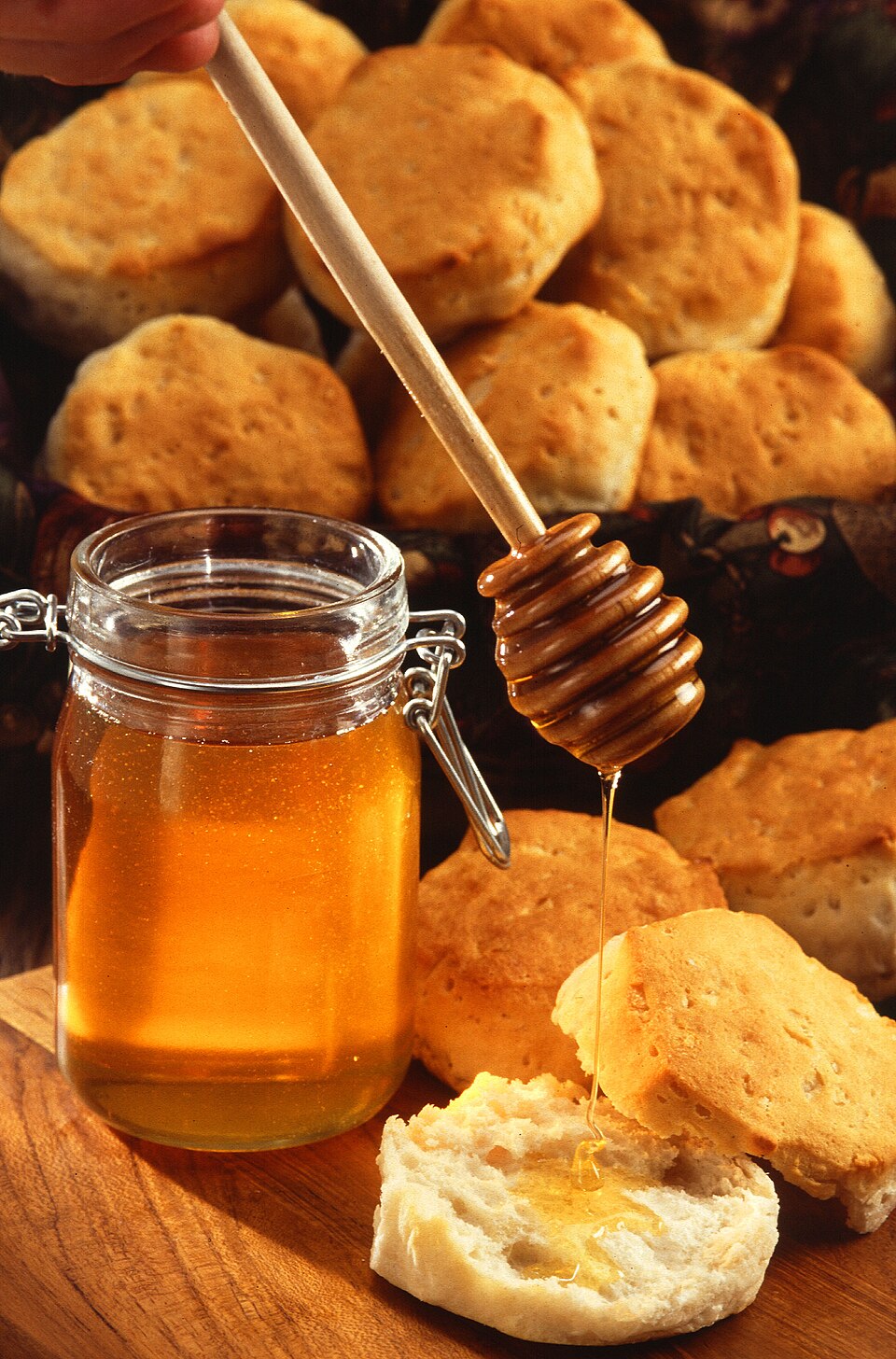 Honey — photo used in our can-dogs-eat-honey guide