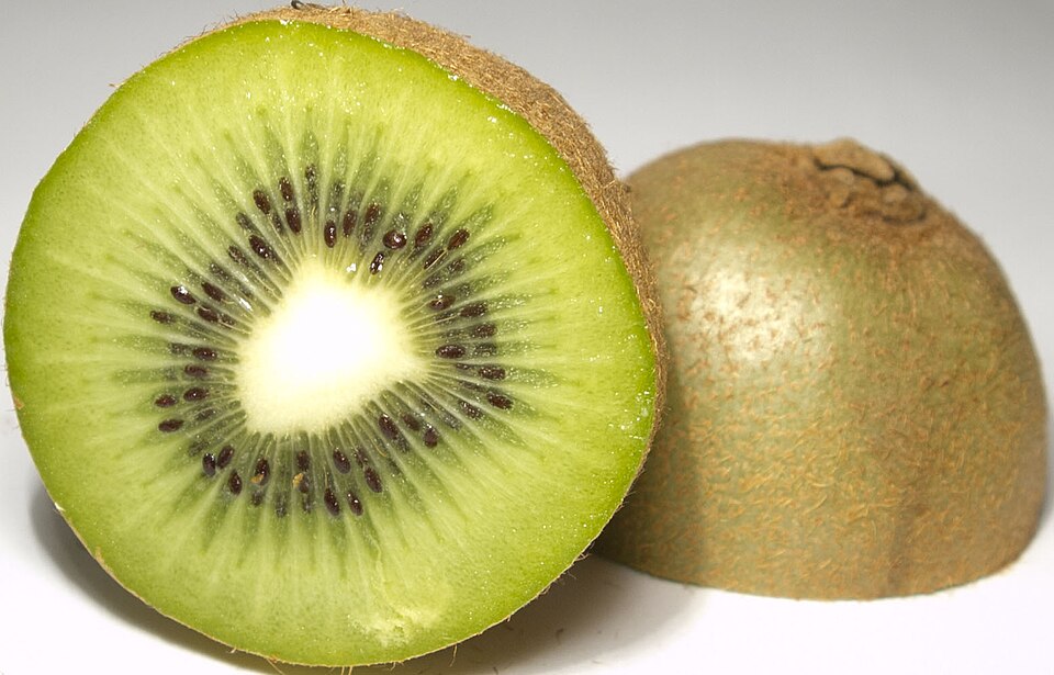 Kiwi — photo used in our can-dogs-eat-kiwi guide