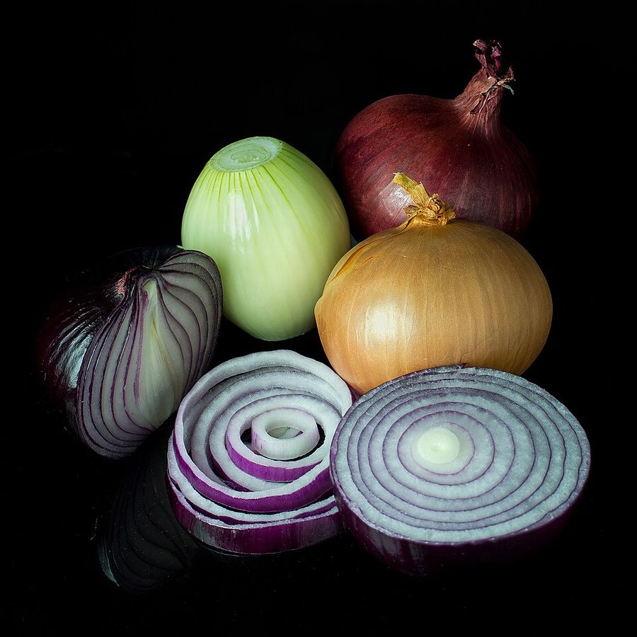 Onions — photo used in our can-dogs-eat-onions guide