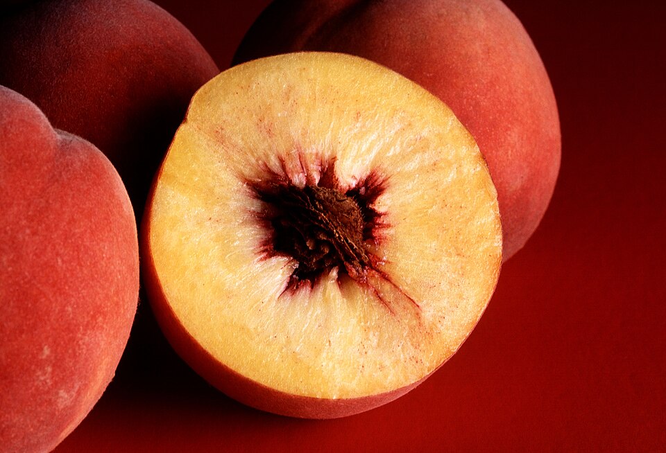 Peaches — photo used in our can-dogs-eat-peaches guide