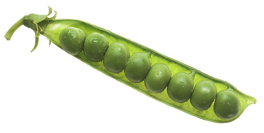 Peas — photo used in our can-dogs-eat-peas guide