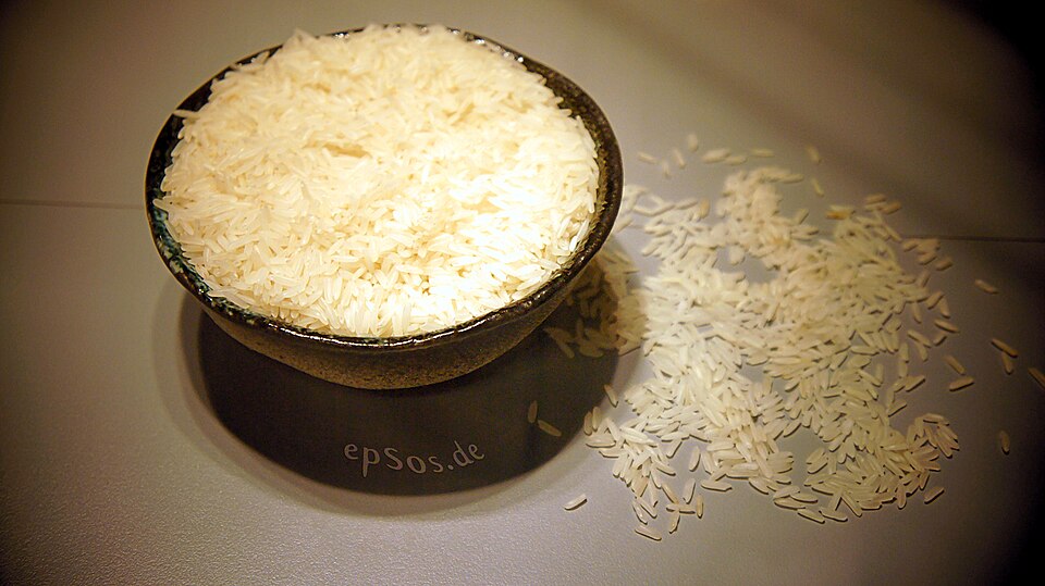 Rice — photo used in our can-dogs-eat-rice guide