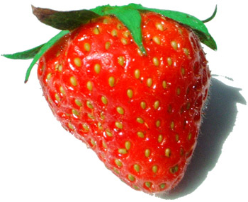 Strawberries — photo used in our can-dogs-eat-strawberries guide