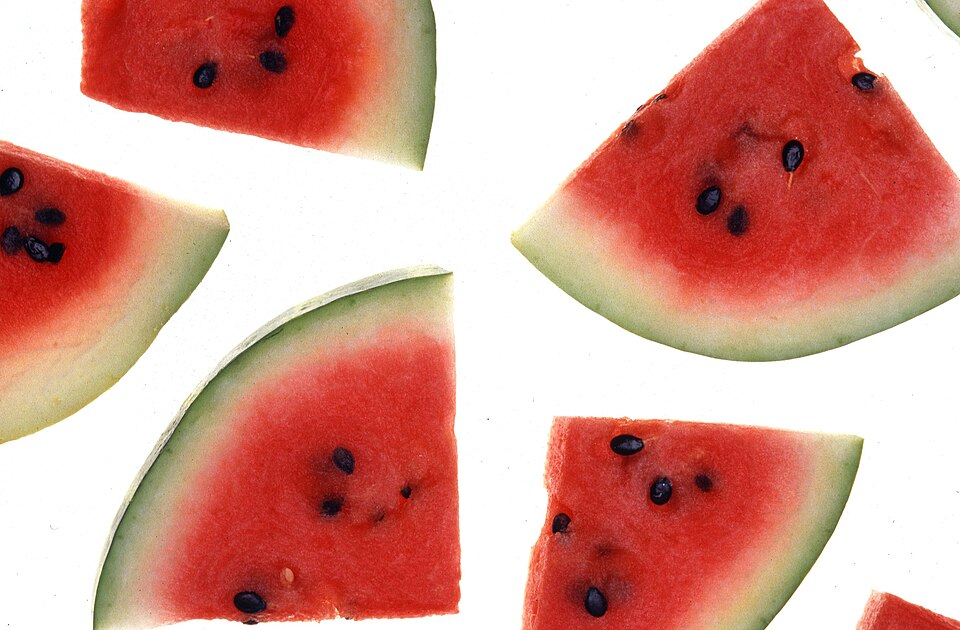Watermelon — photo used in our can-dogs-eat-watermelon guide