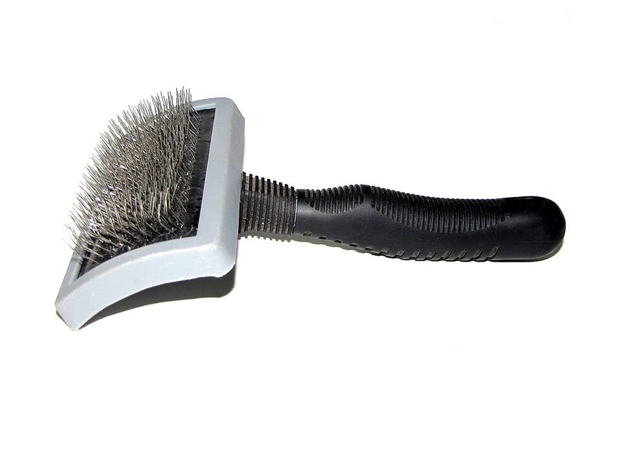 Dog Grooming