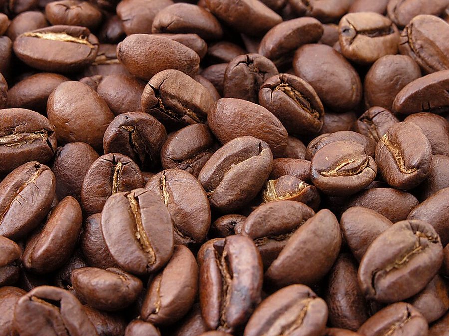 Coffee — can rabbits eat coffee guide