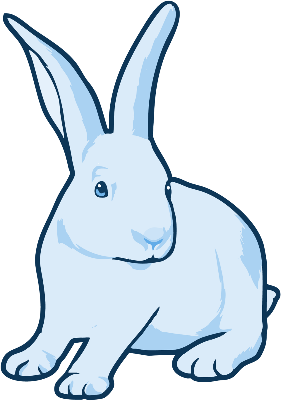 Florida White rabbit