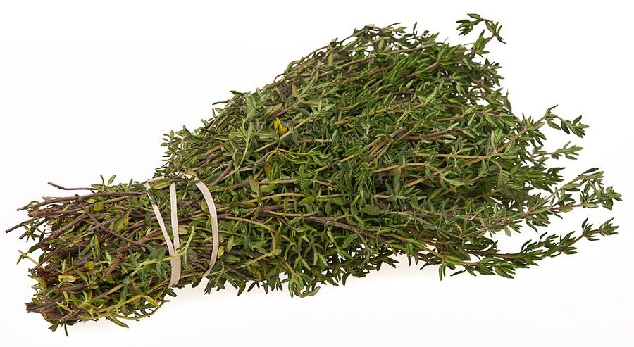 Thyme — can rabbits eat thyme guide